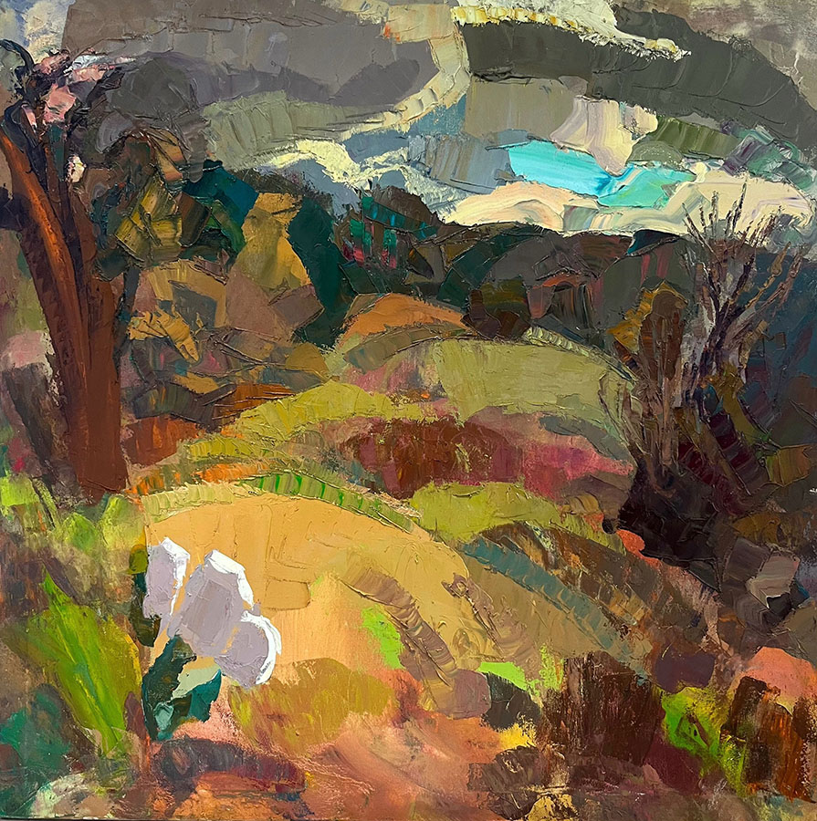 Landscapes 2024-2026